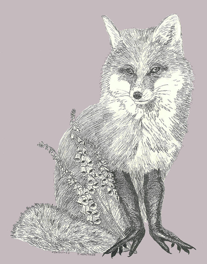Foxgloves #1 Digital Art by Jenny Armitage