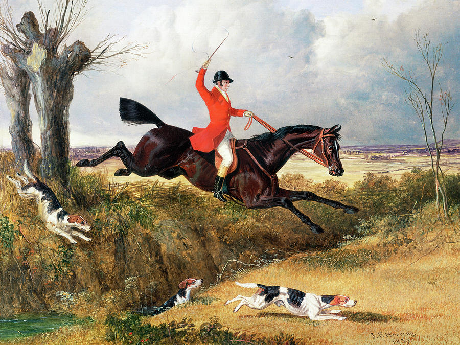 Animal Painting - Foxhunting, Clearing a Ditch #1 by John Frederick Herring