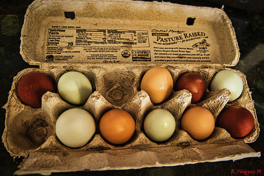 Free Range Eggs  #1 Photograph by Rene Vasquez