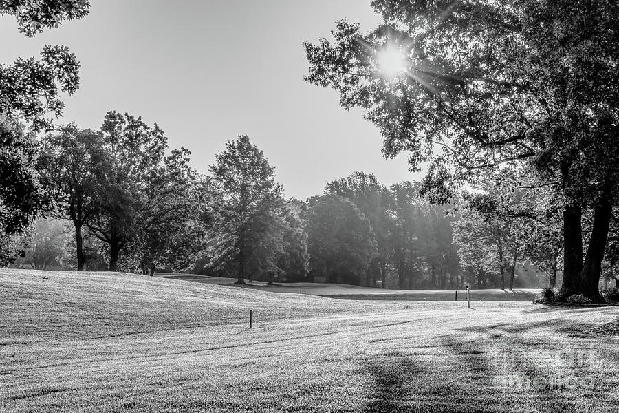 Fremont Hills Golf Golden Morning Grayscale Photograph by Jennifer White