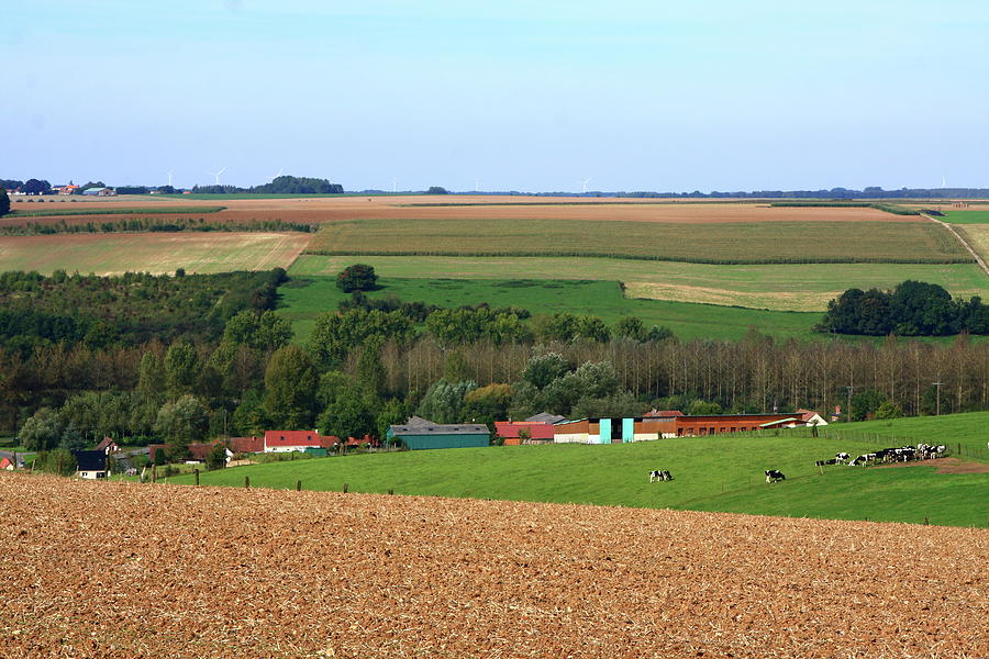 French Countryside Photograph