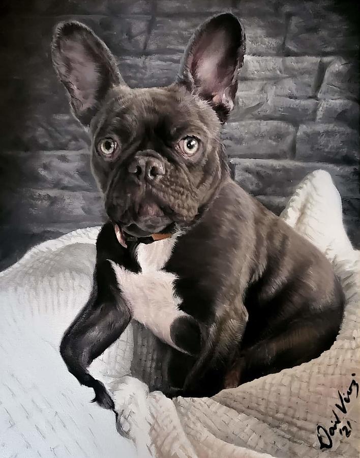 Frenchie Painting by David Vincenzi