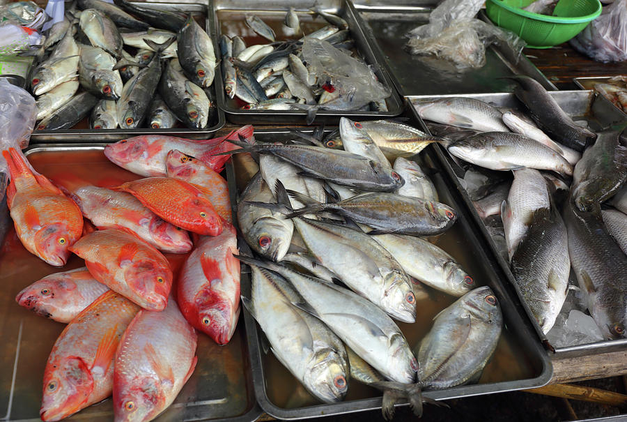 Fresh fish on market counter #1 Photograph by Mikhail Kokhanchikov