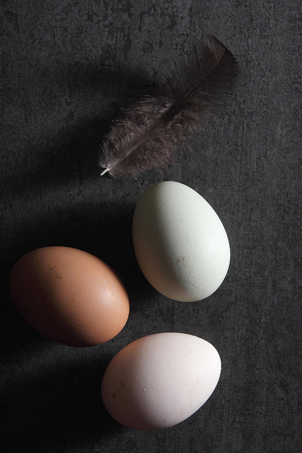 Fresh freerange eggs #1 Photograph by Gerhard Egger