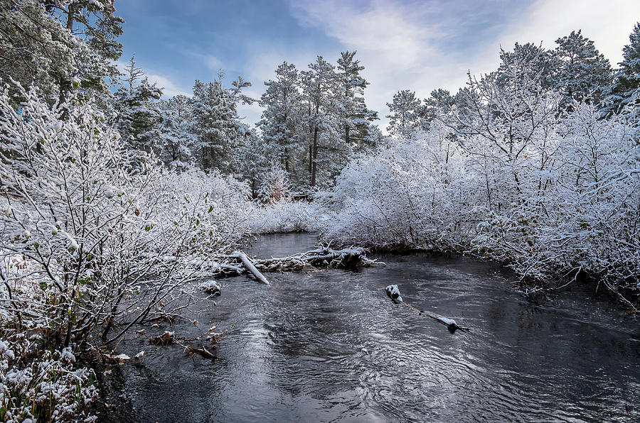 Fresh Snow #1 Photograph by Gary McCormick