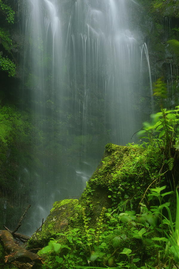 Fresh Waterfall Photograph