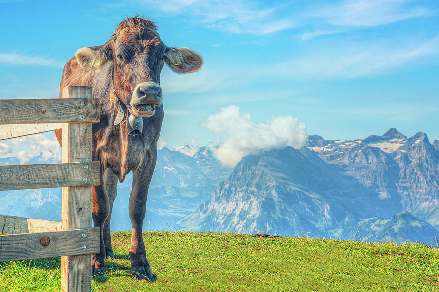 Mountain Photograph - Fronalpstock - Switzerland #1 by Joana Kruse