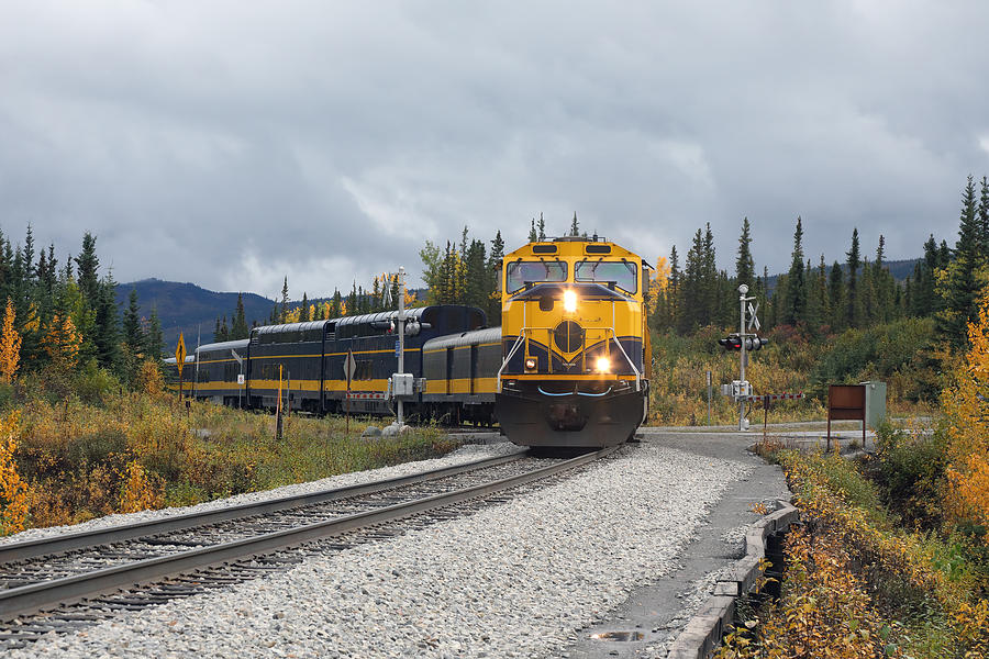 Front view of Alaska Railroad in autumn landscape #1 Photograph by Rainer Grosskopf