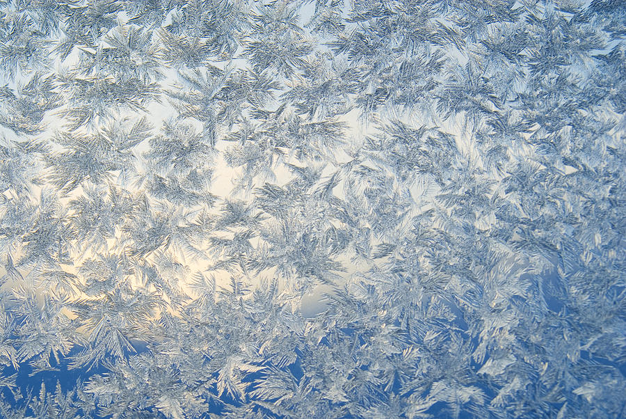 Frost and ice crystals on a window #1 Photograph by Dennis McColeman