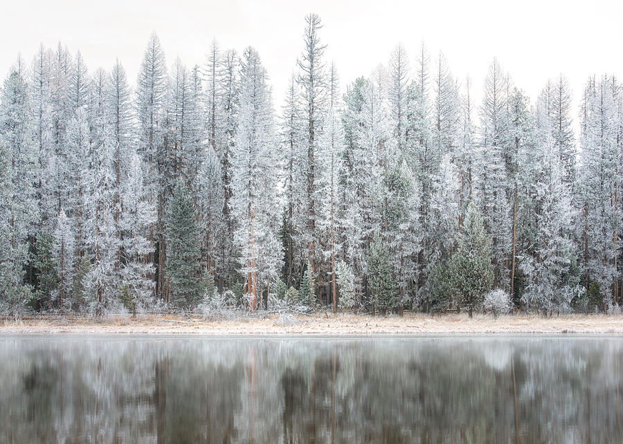 Frost at Seeley Lake #1 Photograph by Matt Hammerstein