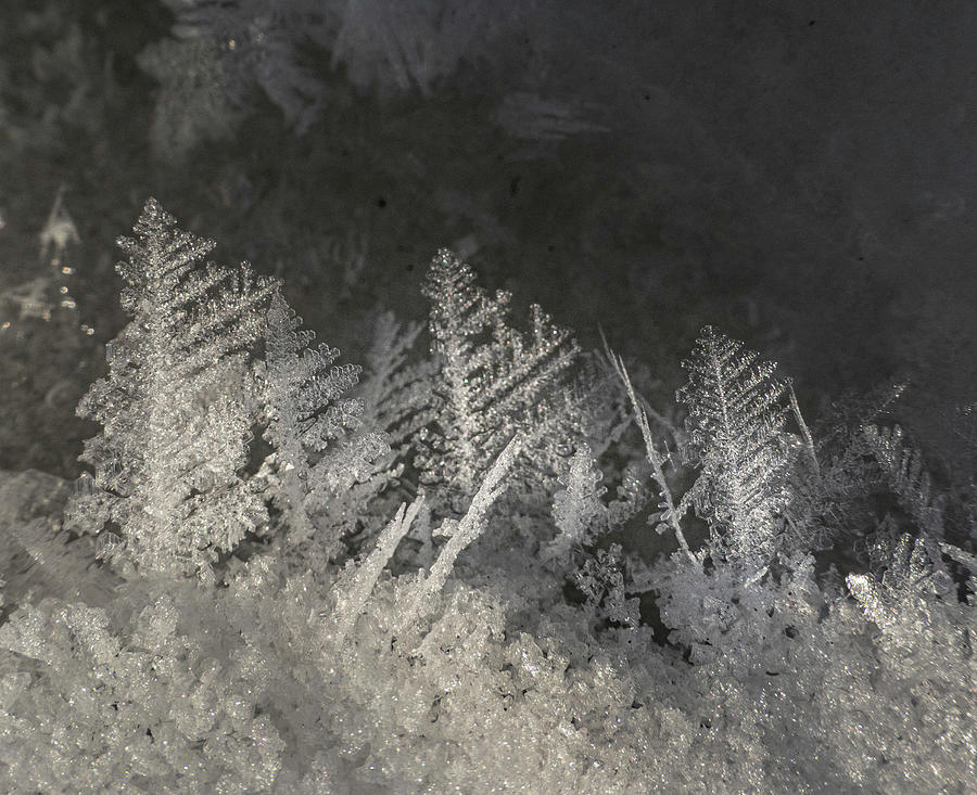 Christmas Photograph - Frost Crystals On Snow #1 by Phil And Karen Rispin