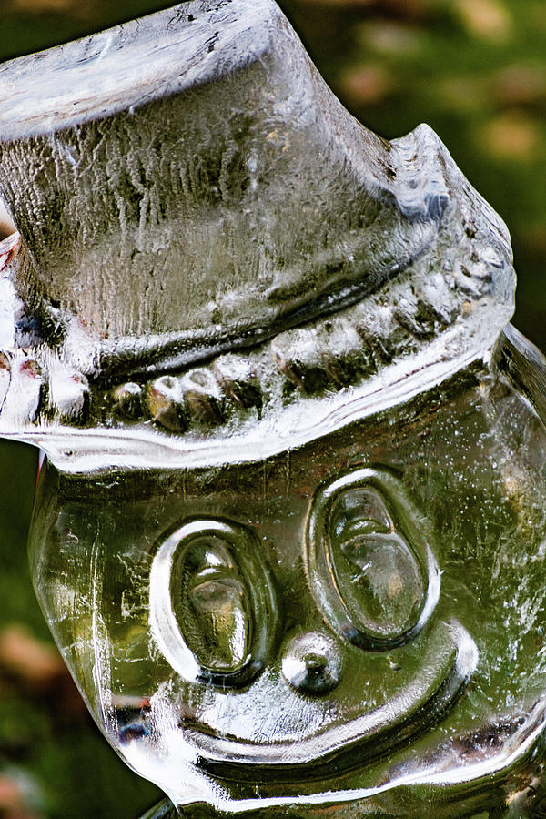 Frosty #1 Photograph by Stewart Helberg