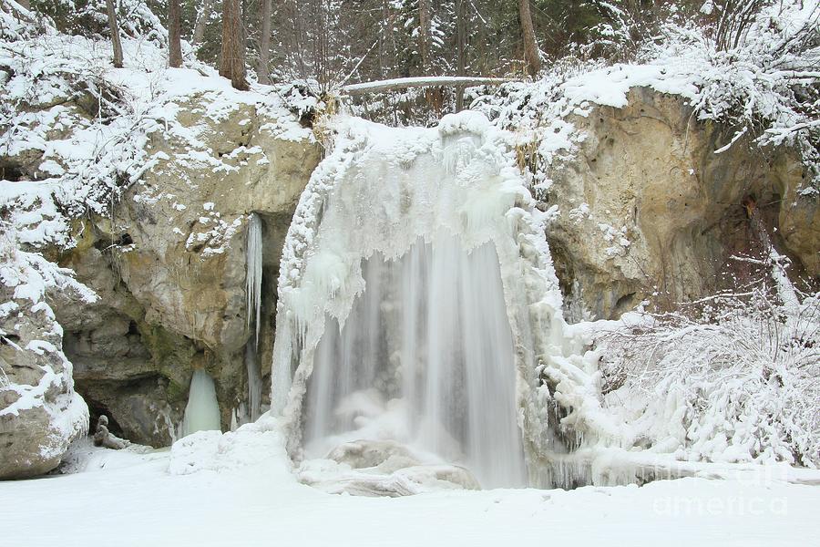 Water Falls Photograph - Frozen Falls by Roland Stanke Water Falls Photograph - Frozen Falls by Roland Stanke