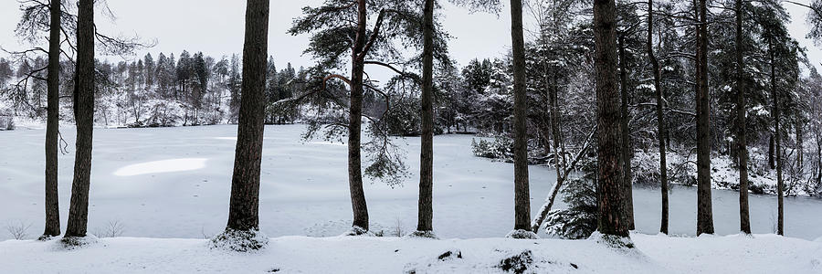 Frozen Tarn Hows Covered in Snow Lake District #1 Photograph by Sonny Ryse