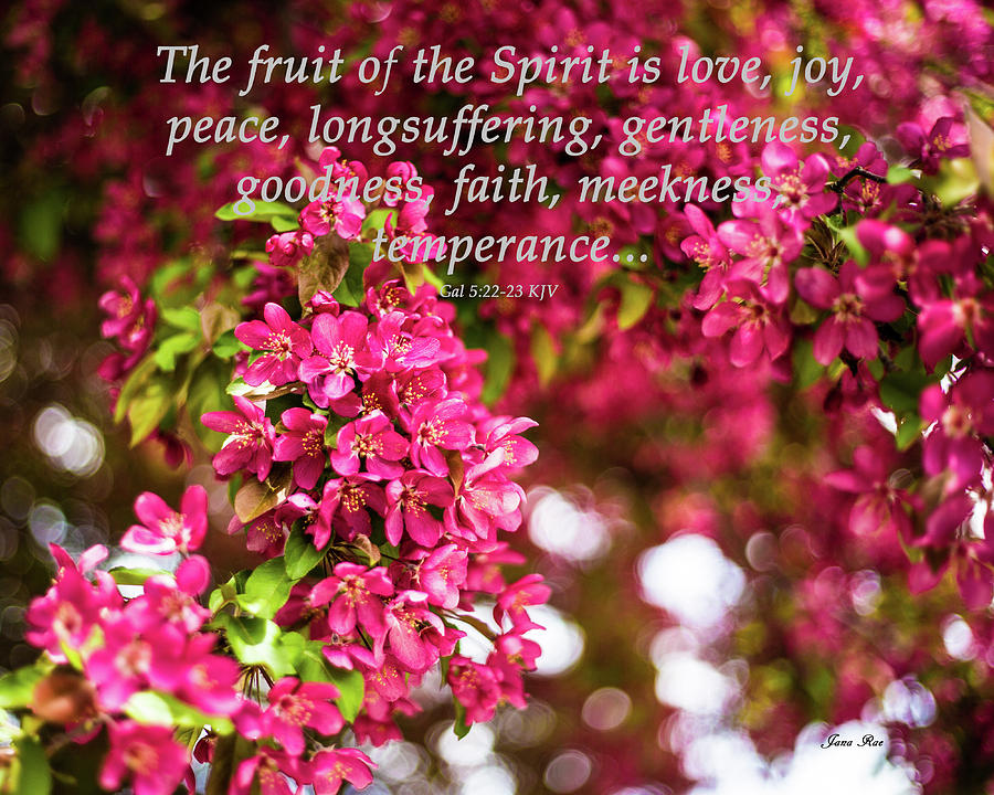 Fruit of the Spirit #1 Photograph by Jana Rosenkranz