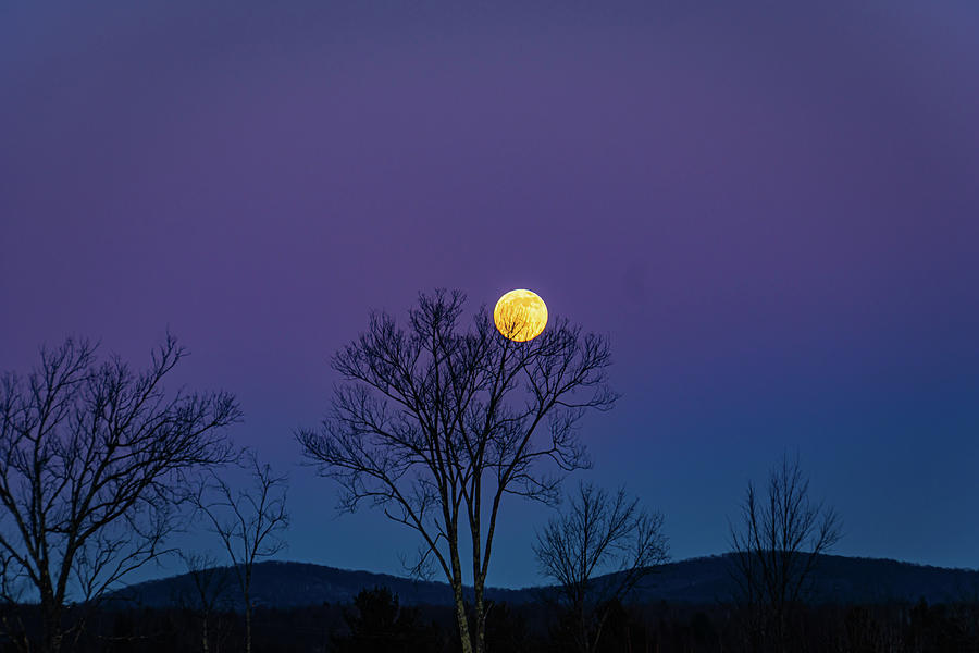 Full Moon Rising  #1 Photograph by Ann Moore