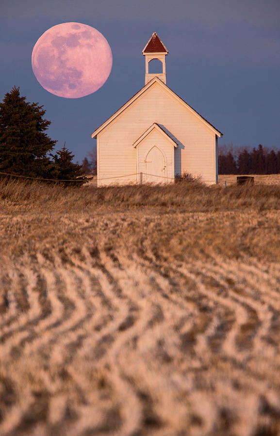 Full Pink Moon #1 Photograph by Mark Duffy