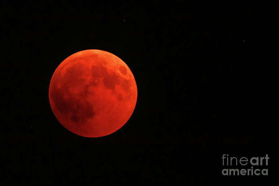Full red moon #1 Photograph by Benny Marty