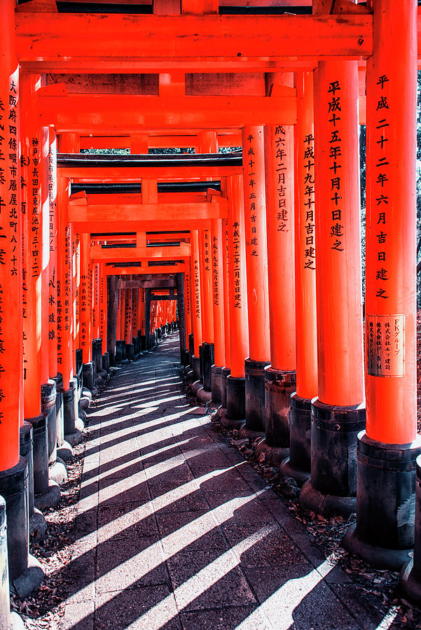 Fushimi Inari Taisha Photograph