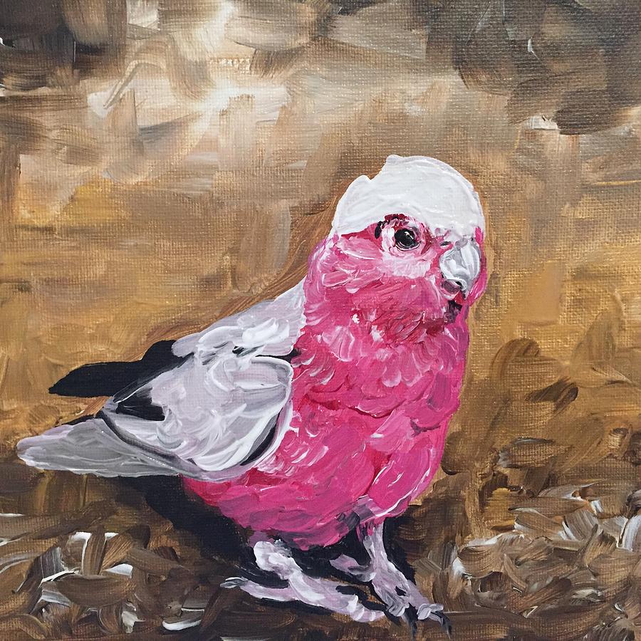 Galah Cockatoo #2 Painting by Danielle Rosaria