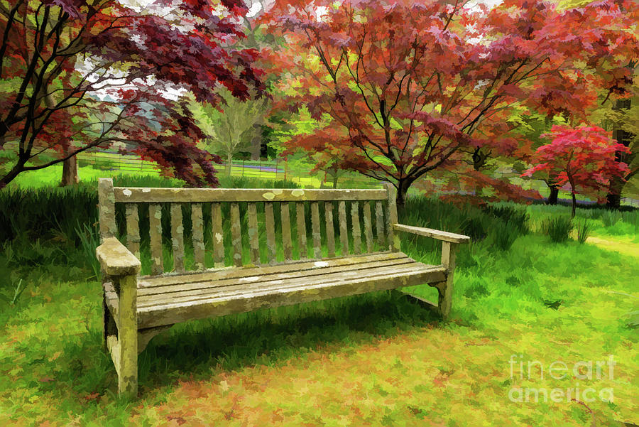 Garden Bench by Adrian Evans Garden Bench by Adrian Evans