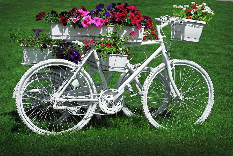 Garden Decoration With Bicycle Bike Painted With Flowers #1 Photograph by Severija Kirilovaite