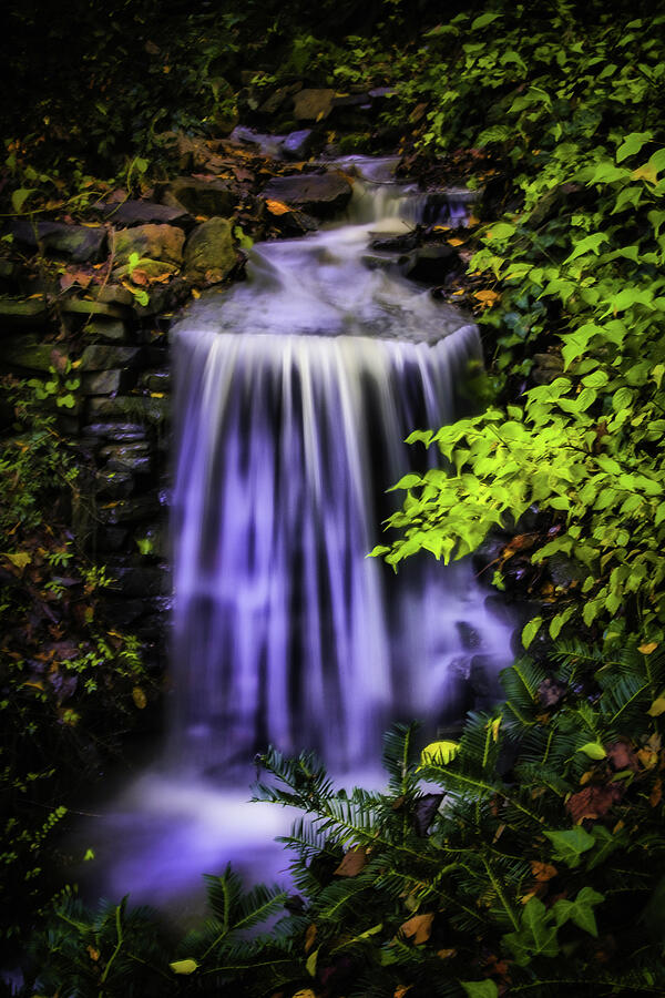 Waterfall Photograph - Garden Falls #1 by Lynne Jenkins