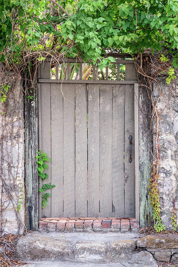 Garden Gate, St. Augustine, Florida #1 Photograph by Dawna Moore Photography