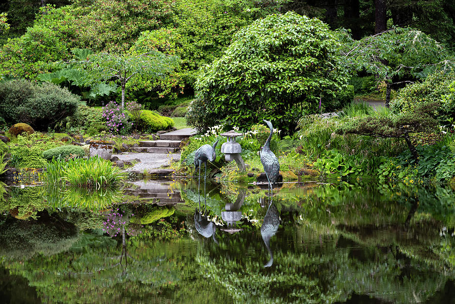 Garden Reflections #2 Photograph by Steven Clark