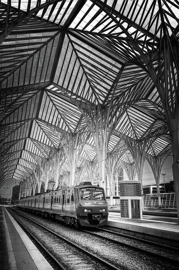 Gare do Oriente Lisbon Portugal Black and White #2 Photograph by Carol Japp