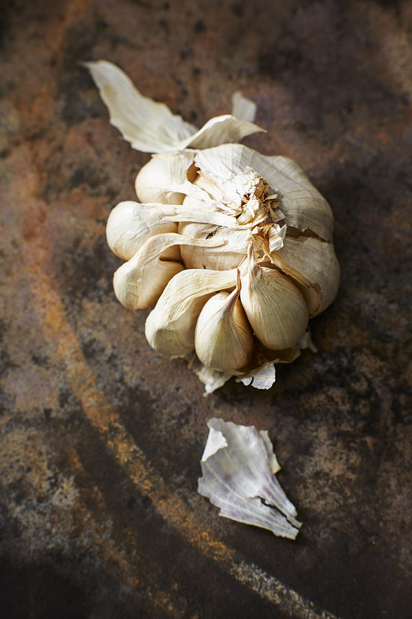 Garlic bulb #1 Photograph by Westend61