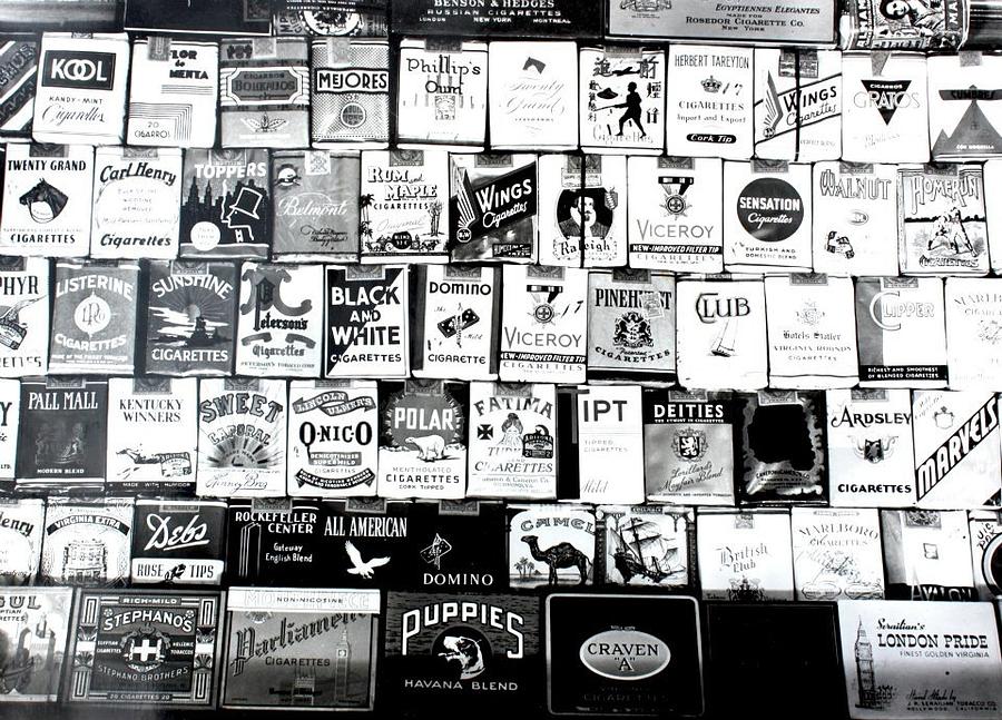 Gasper, Snipe, Lung Darts, Smokes Photograph by Kasey Jones Gasper, Snipe, Lung Darts, Smokes Photograph by Kasey Jones