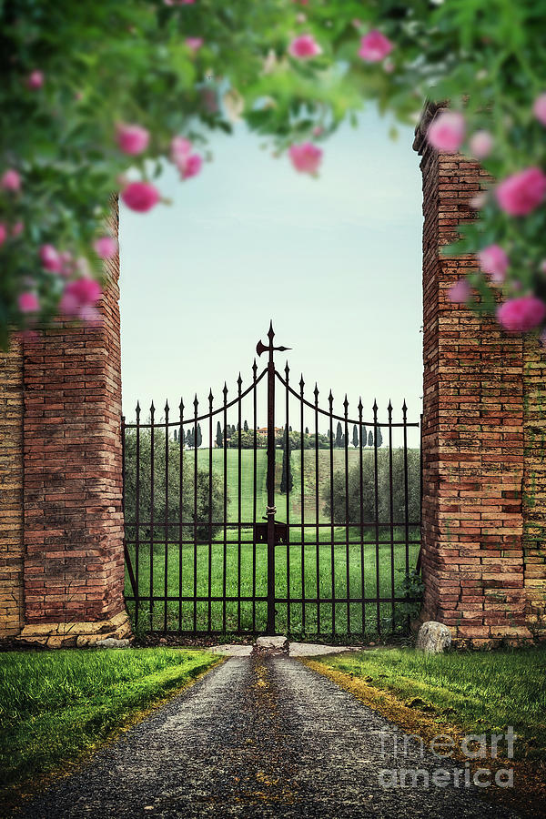 Rose Photograph - Gates Of Paradise #1 by Evelina Kremsdorf