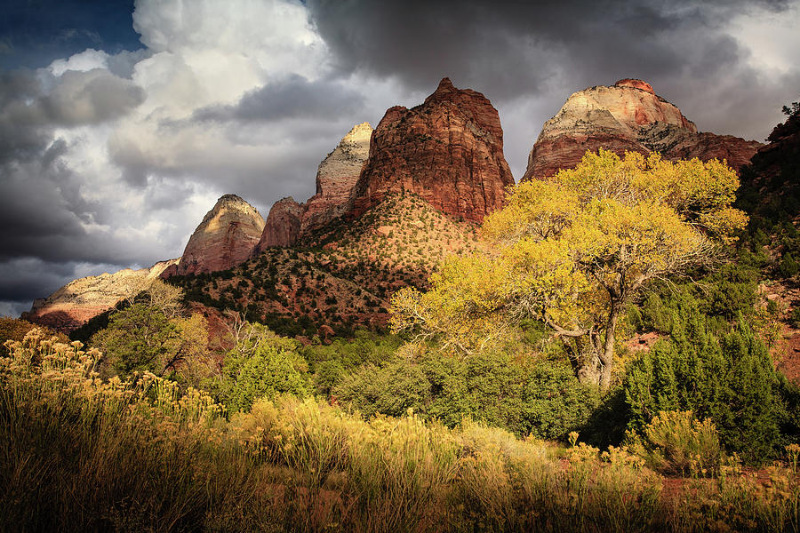 Zion National Park Photograph - Gathering Storm over The Watchman #1 by Peter OReilly
