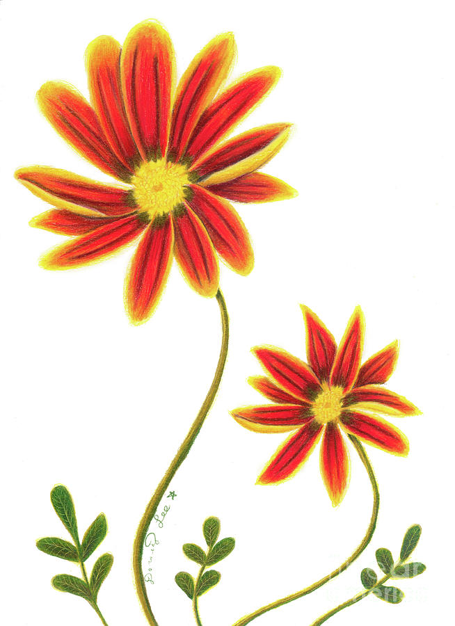 Gazania Duo #1 Painting by Dorothy Lee