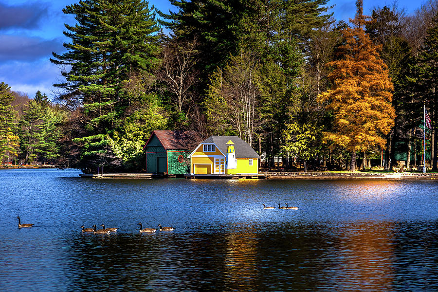 Geese On Old Forge Pond Photograph