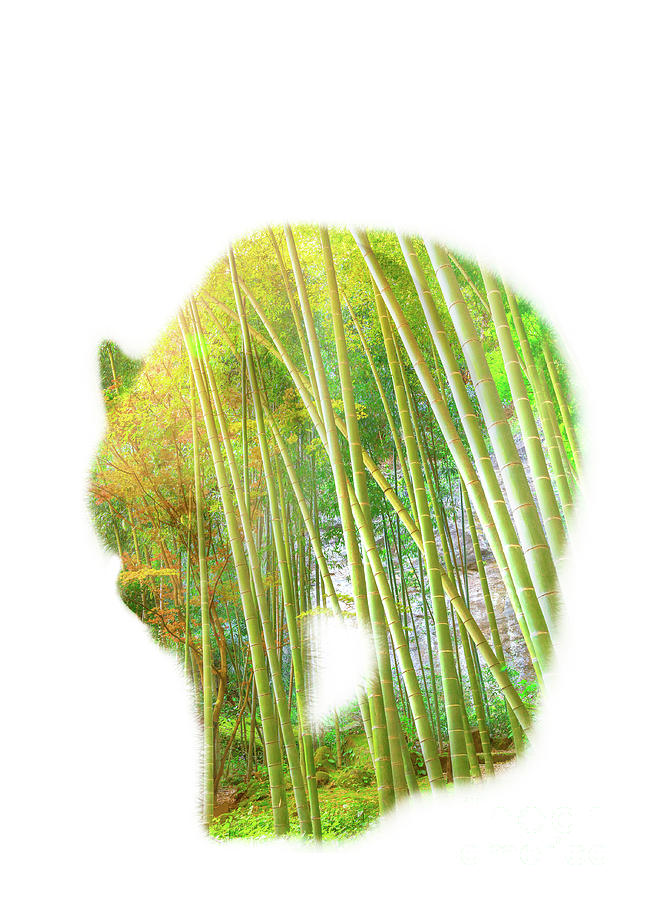 Giant Panda Bamboo #1 Digital Art by Benny Marty