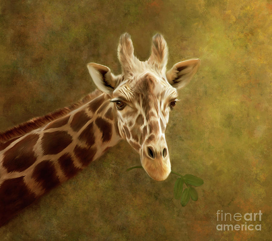 Giraffe #1 Digital Art by Linda Blair