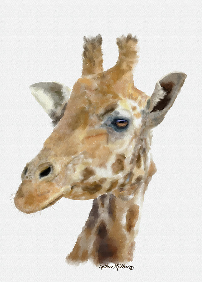 Giraffe Portrait #1 Digital Art by Kathie Miller