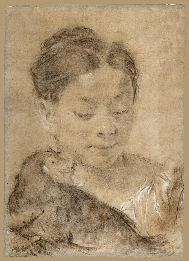 Girl with a Hen #2 Drawing by Giovanni Battista Piazzetta