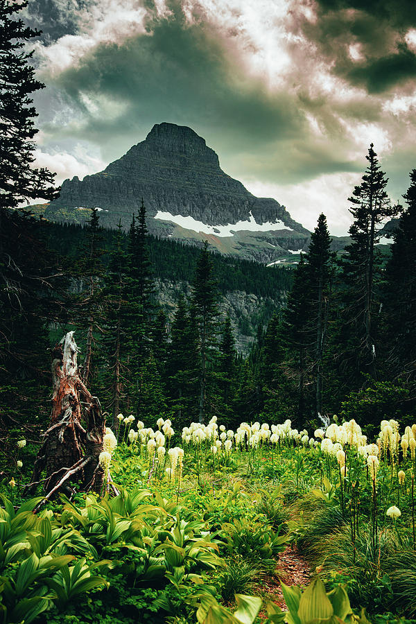 Mountain Photograph - Glacier National Park #1 by Brian Venghous