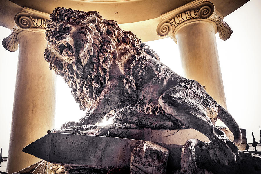 Vintage Photograph - Gladiators Den Lion Statue Background #1 by Luca Lorenzelli
