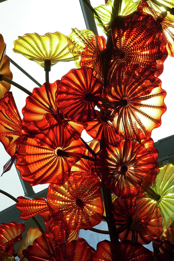 Glass flowers with sunlight #2 Photograph by Steve Estvanik