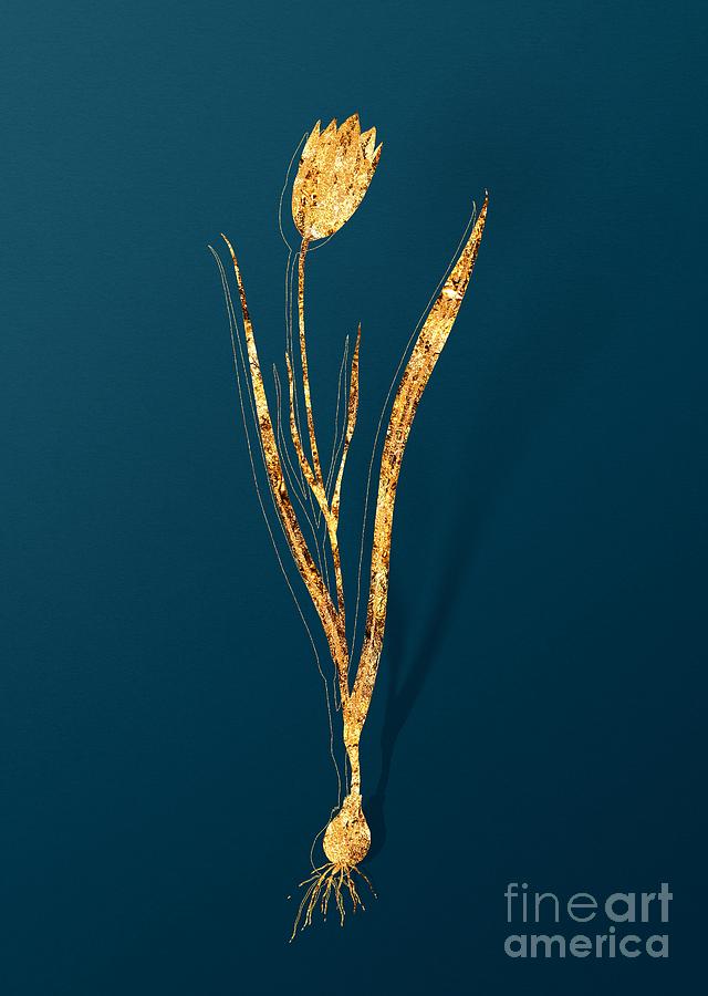 Gold Lady Tulip Botanical Illustration on Teal #1 Mixed Media by Holy Rock Design