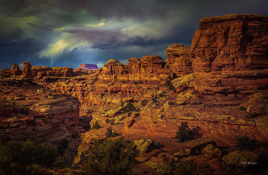 Canyonlands National Park Photograph - Golden Hour in Big Spring Canyon #1 by Tim Bryan