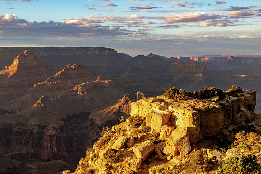 Grand Canyon National Park Photograph - Golden Hour #1 by James Marvin Phelps