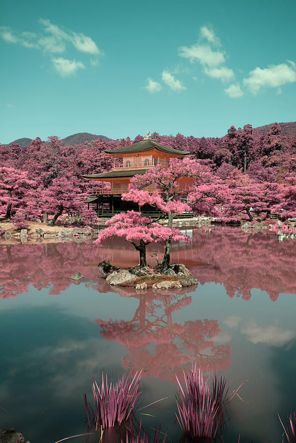 Golden Pavilion in Infrared #2 Photograph by David Bearden