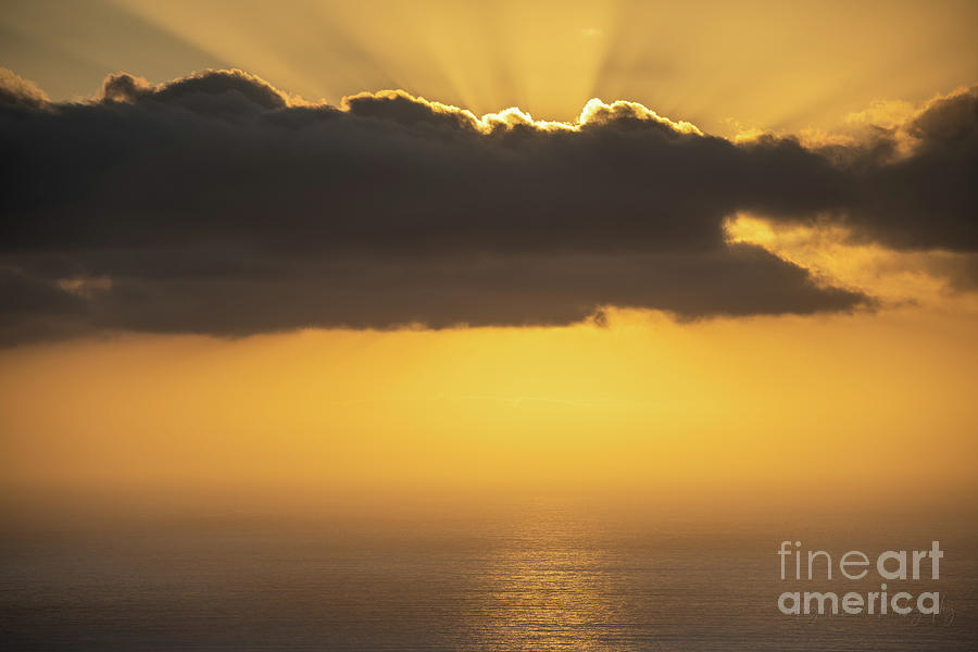 Golden Rays of Sunset Print Photograph by Abigail Diane Photography