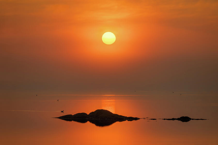 Acadia Sunrise a5802 Photograph by Greg Hartford