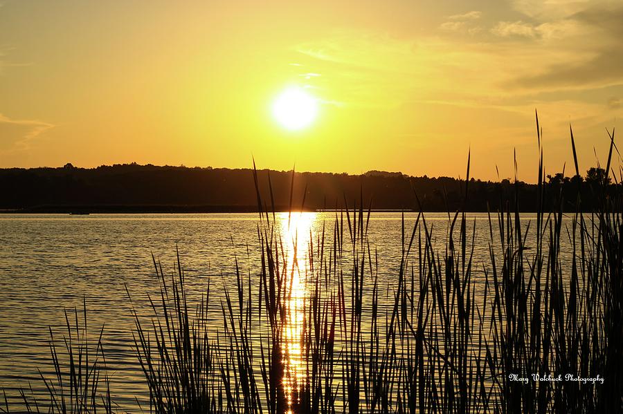 Golden Sunset Photograph by Mary Walchuck
